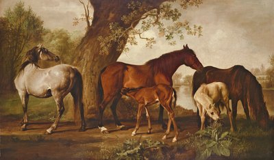 Jument et poulains - George Stubbs